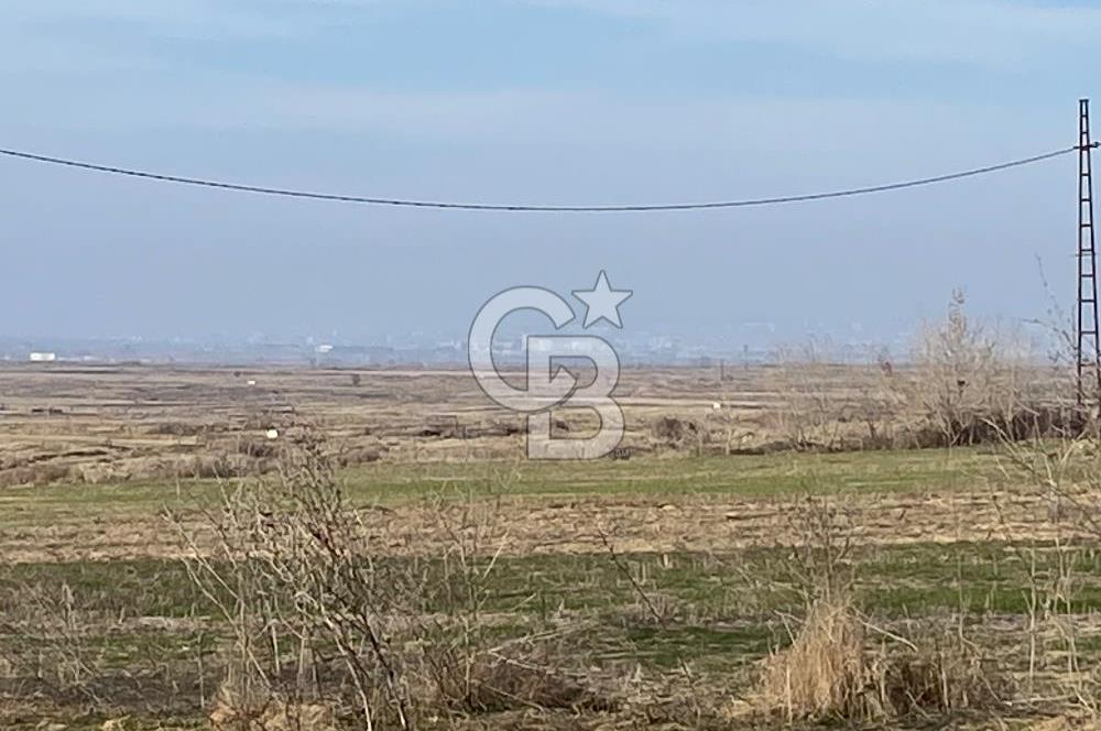 Yatırımlık tarl