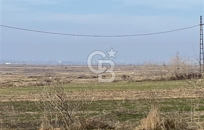 Yatırımlık tarl