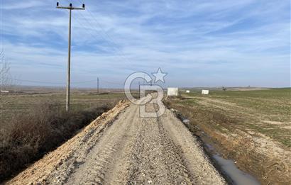 Yatırımlık tarl