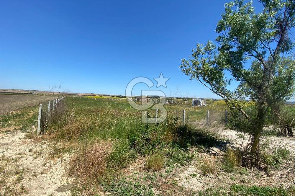 Çatalca Ferhatpaşa’da 1327m2 Satılık 