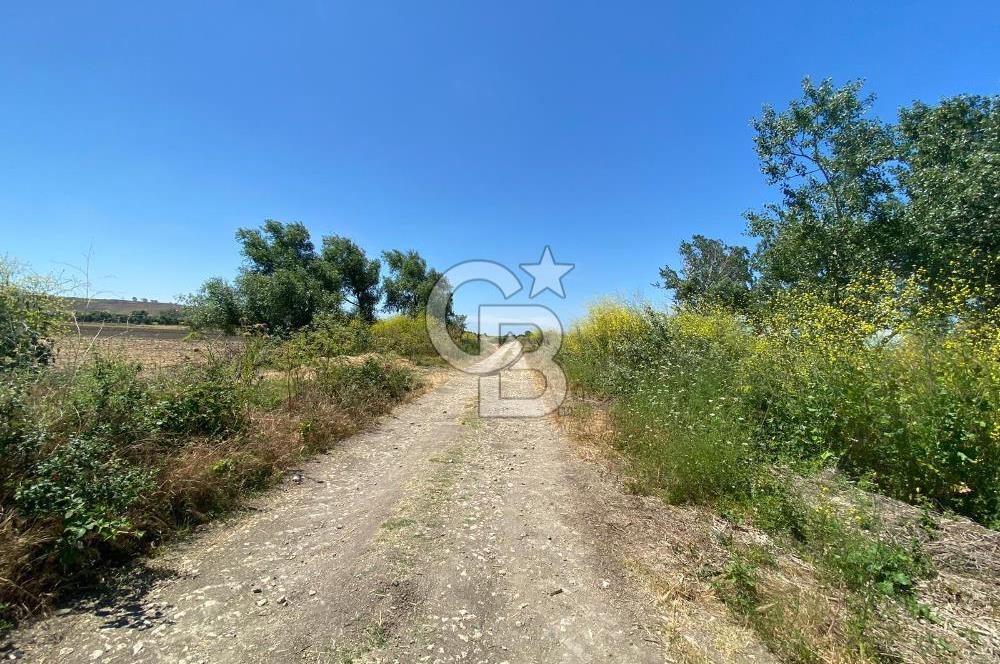 Çatalca Ferhatpaşa’da 1327m2 Satılık 