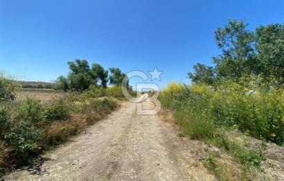 Çatalca Ferhatpaşa’da 1327m2 Satılık 