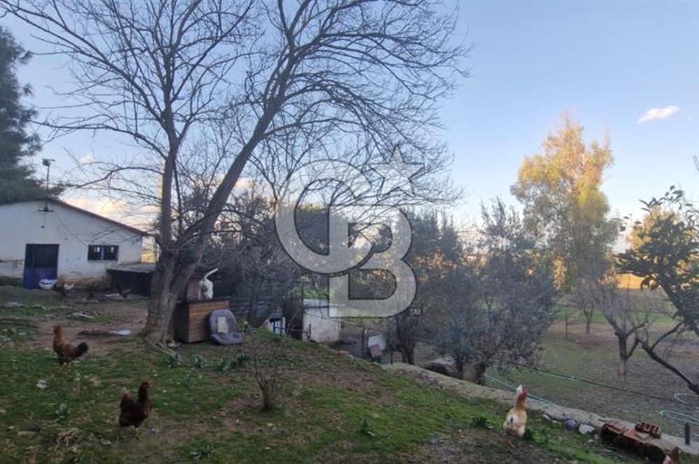 MENDERES MÜSTAKİL TAPULU SATILIK ARAZİ