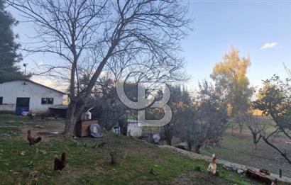 MENDERES MÜSTAKİL TAPULU SATILIK ARAZİ