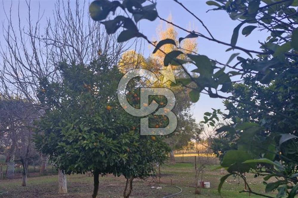 MENDERES MÜSTAKİL TAPULU SATILIK ARAZİ