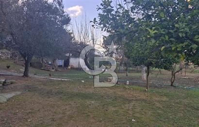 MENDERES MÜSTAKİL TAPULU SATILIK ARAZİ
