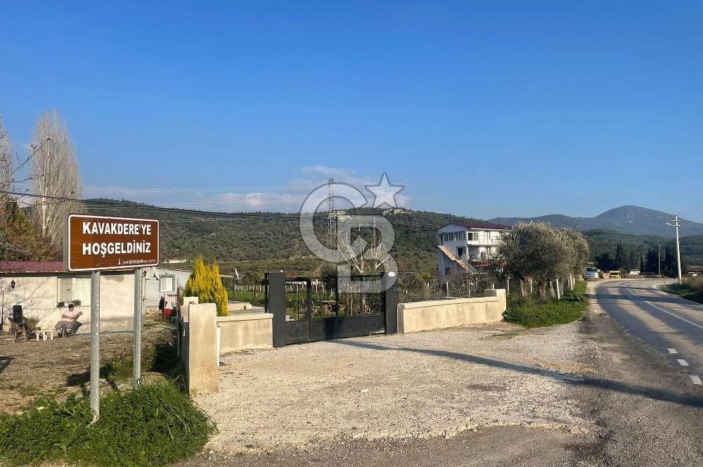 Seferihisar kavakdere'de  Satılık Tarla