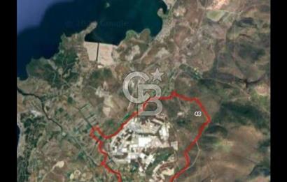 ALİAĞA ÇORAKLARDA SATILIK YİRMİ ZEYTİNLİ TARLA