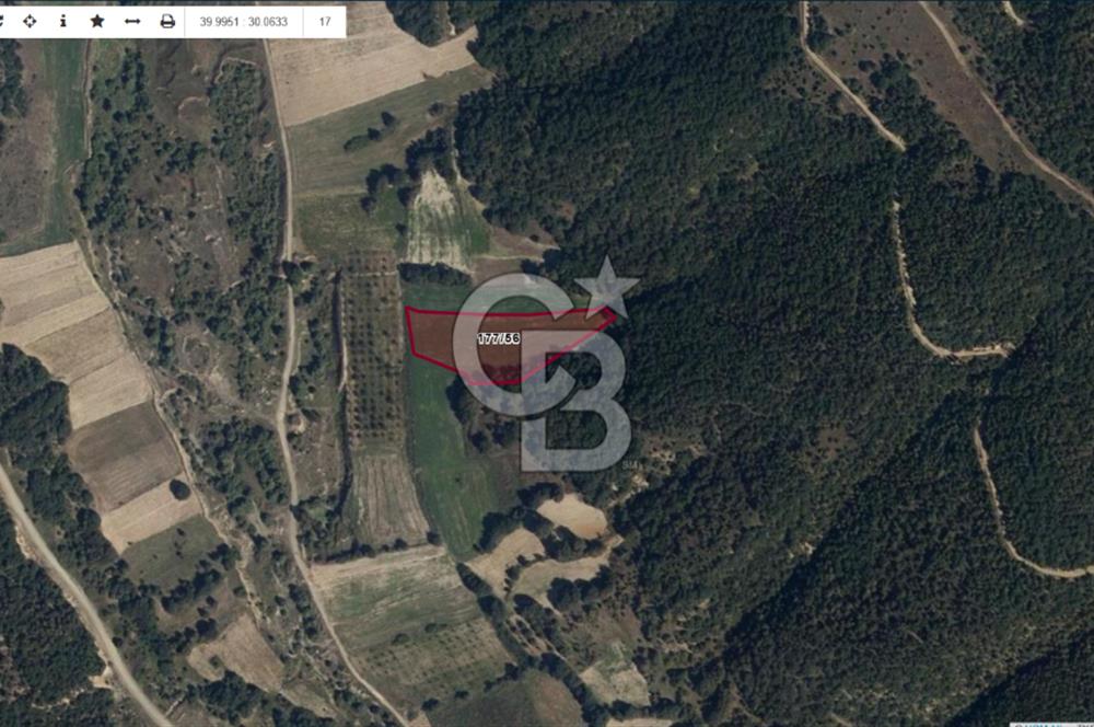 BİLECİK MERKEZ KURTKÖY'DE SATILIK TARLA-7285 M2