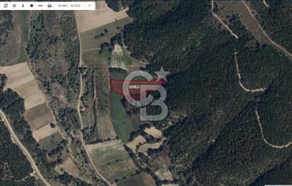 BİLECİK MERKEZ KURTKÖY'DE SATILIK TARLA-7285 M2