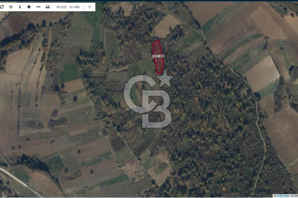 BİLECİK MERKEZ KURTKÖY'DE SATILIK TARLA-2248 M2