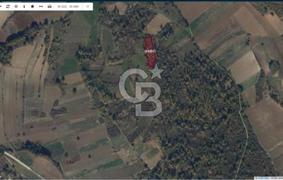 BİLECİK MERKEZ KURTKÖY'DE SATILIK TARLA-2248 M2