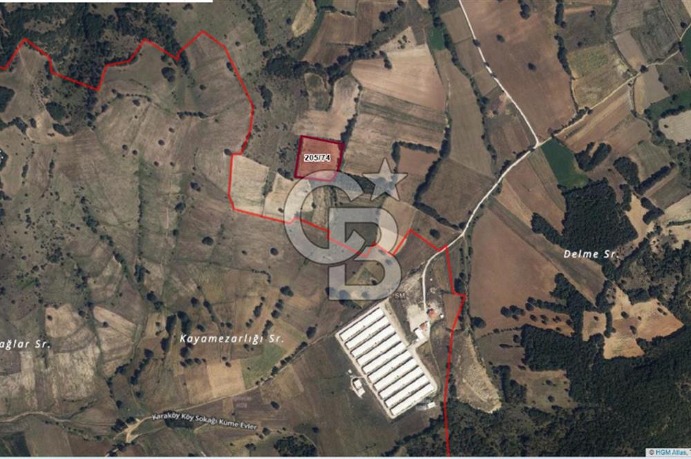 BİLECİK MERKEZ KURTKÖY'DE SATILIK TARLA-10.948 M2