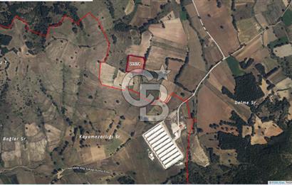 BİLECİK MERKEZ KURTKÖY'DE SATILIK TARLA-10.948 M2