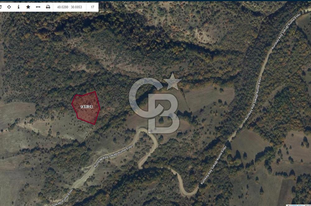 BİLECİK MERKEZ KURTKÖY'DE SATILIK TARLA-5510 M2