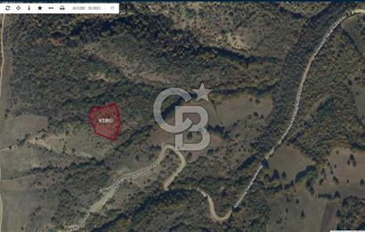 BİLECİK MERKEZ KURTKÖY'DE SATILIK TARLA-5510 M2
