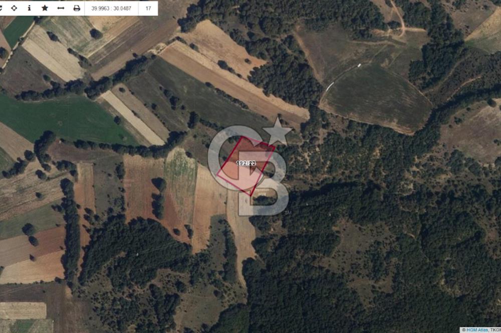 BİLECİK MERKEZ KURTKÖY'DE SATILIK TARLA-6244 M2