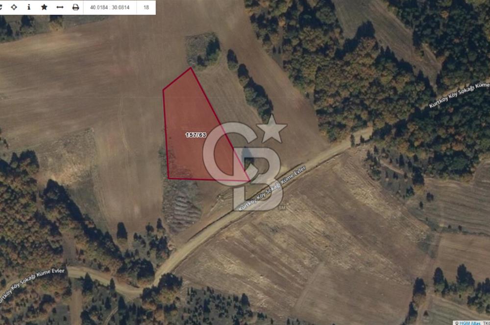 BİLECİK MERKEZ KURTKÖY'DE SATILIK TARLA-5177 M2