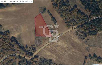 BİLECİK MERKEZ KURTKÖY'DE SATILIK TARLA-5177 M2