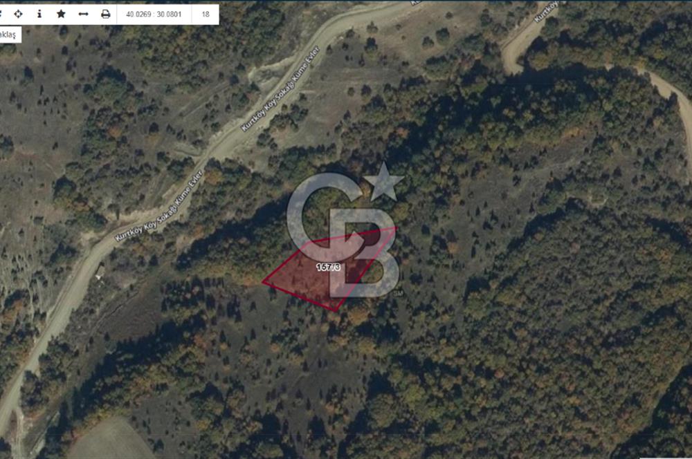 BİLECİK MERKEZ KURTKÖY'DE SATILIK TARLA-2395 M2