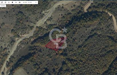 BİLECİK MERKEZ KURTKÖY'DE SATILIK TARLA-2395 M2