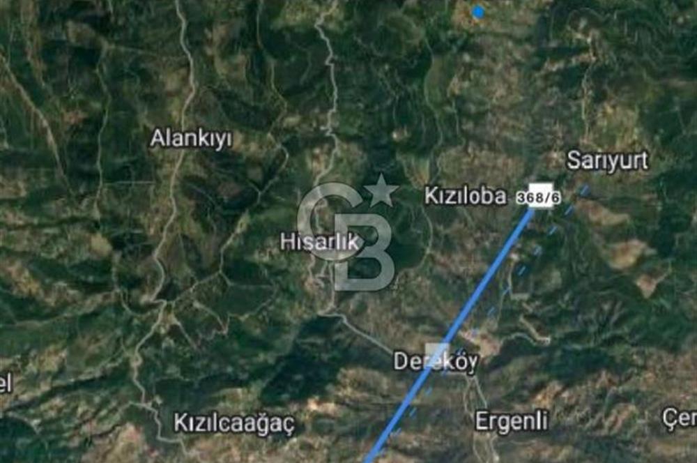 Bayındır Sarıyurt'ta Yola Cepheli Satılık Zeytinlik