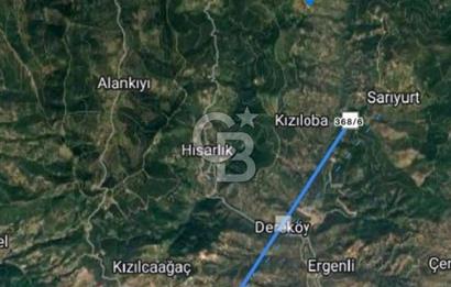 Bayındır Sarıyurt'ta Yola Cepheli Satılık Zeytinlik