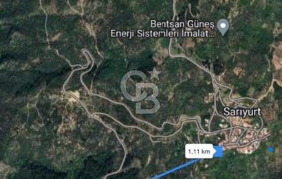 Bayındır Sarıyurt'ta Yola Cepheli Satılık Zeytinlik