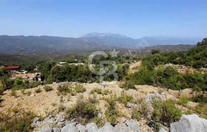 Ormanın İçinde Manavgat Sağrinde Satılık İmarlı Arsa