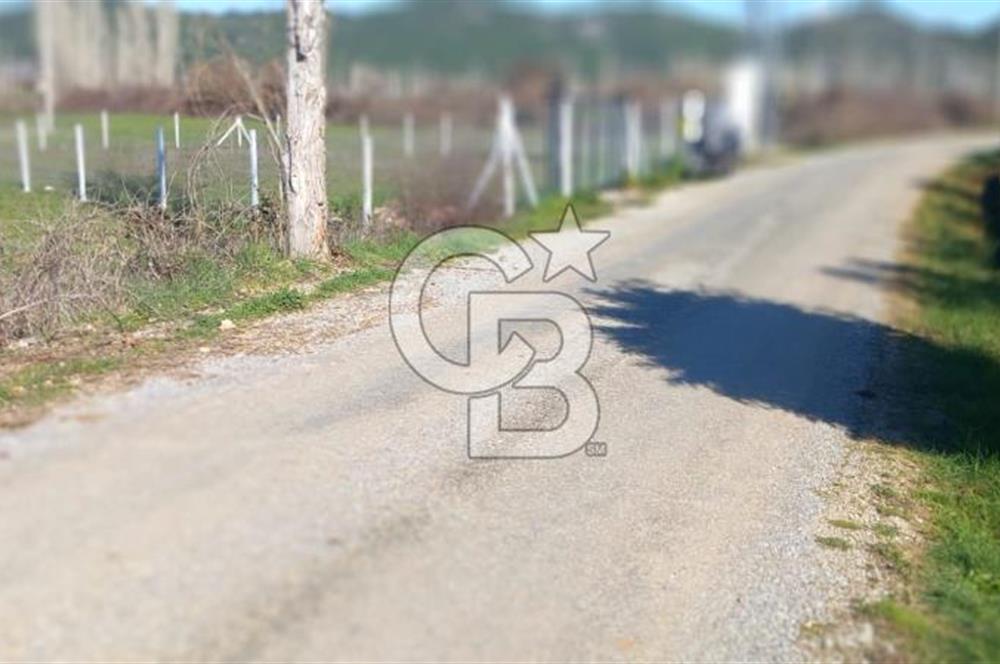 MUĞLA MENTEŞE YENİCE'DE YATIRIMLIK YOL KENARI TARLA