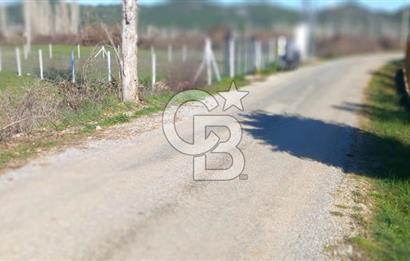 MUĞLA MENTEŞE YENİCE'DE YATIRIMLIK YOL KENARI TARLA