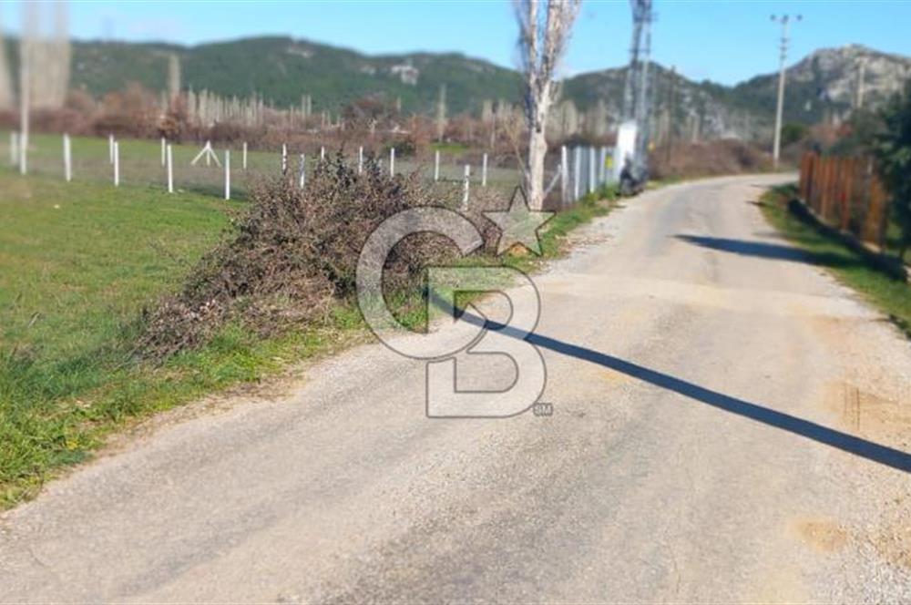 MUĞLA MENTEŞE YENİCE'DE YATIRIMLIK YOL KENARI TARLA