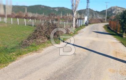 MUĞLA MENTEŞE YENİCE'DE YATIRIMLIK YOL KENARI TARLA