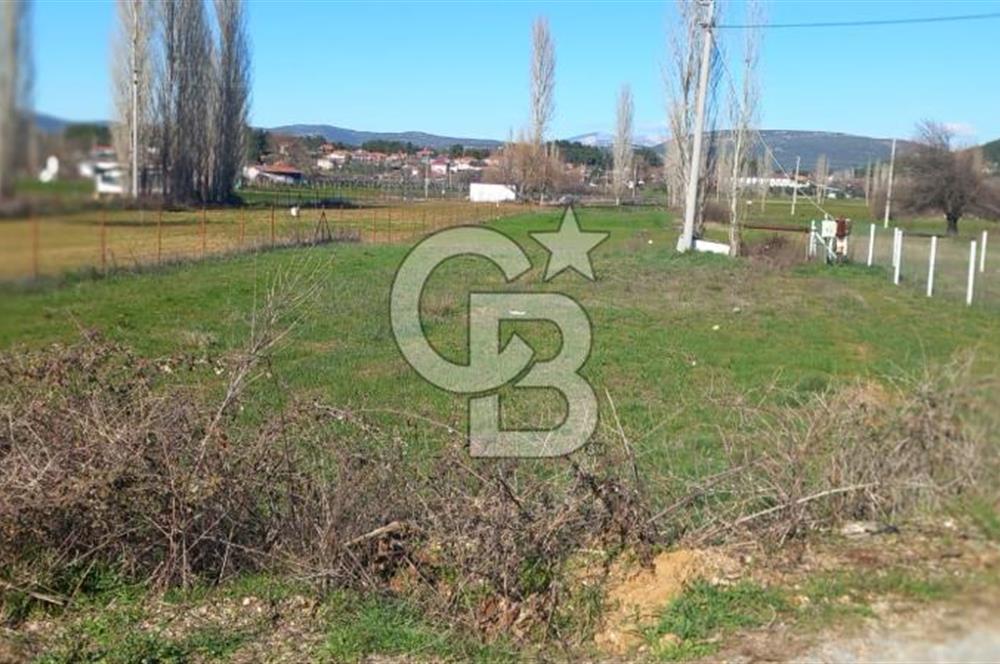 MUĞLA MENTEŞE YENİCE'DE YATIRIMLIK YOL KENARI TARLA