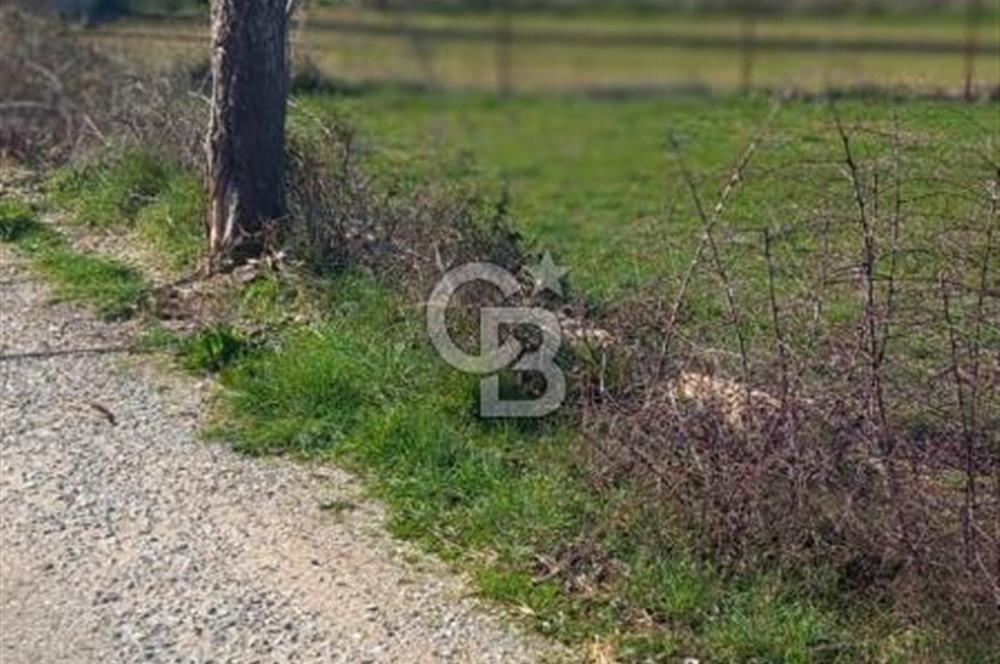 MUĞLA MENTEŞE YENİCE'DE YATIRIMLIK YOL KENARI TARLA