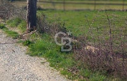MUĞLA MENTEŞE YENİCE'DE YATIRIMLIK YOL KENARI TARLA