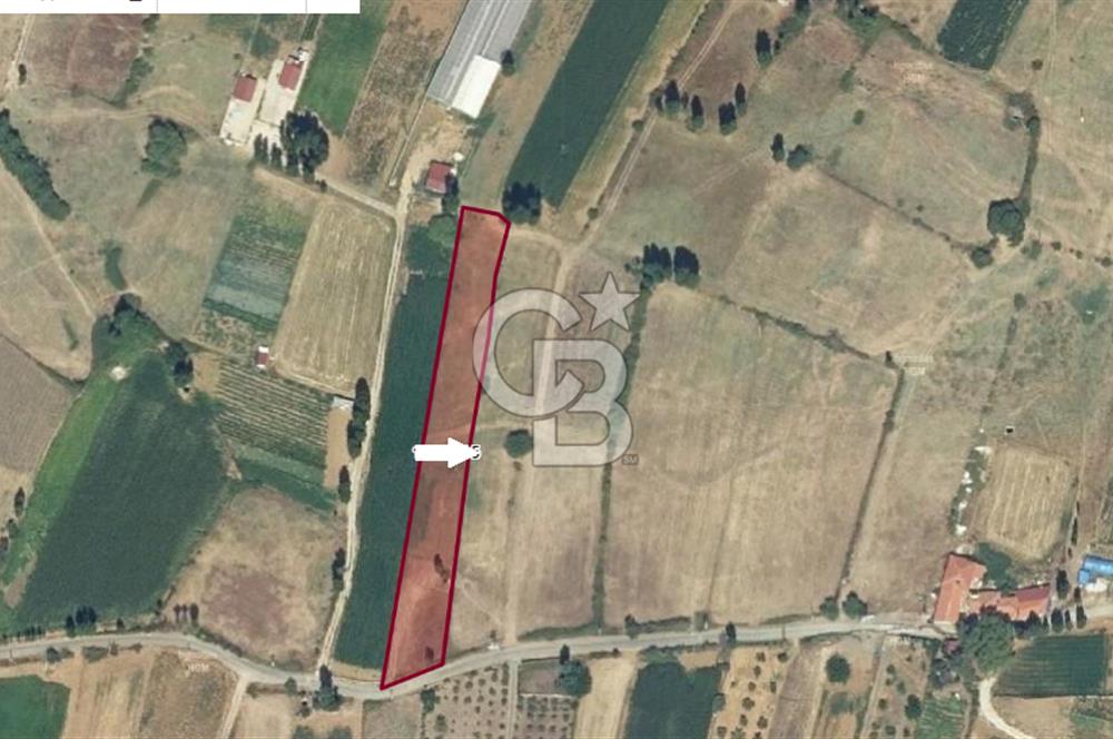 MUĞLA MENTEŞE YENİCE'DE YATIRIMLIK YOL KENARI TARLA