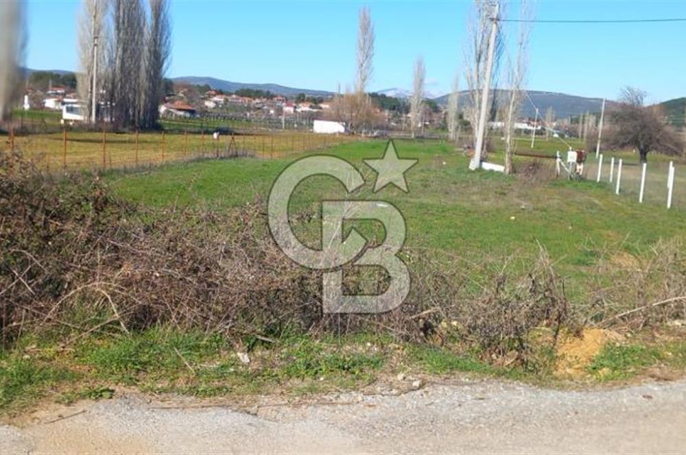 MUĞLA MENTEŞE YENİCE'DE YATIRIMLIK YOL KENARI TARLA