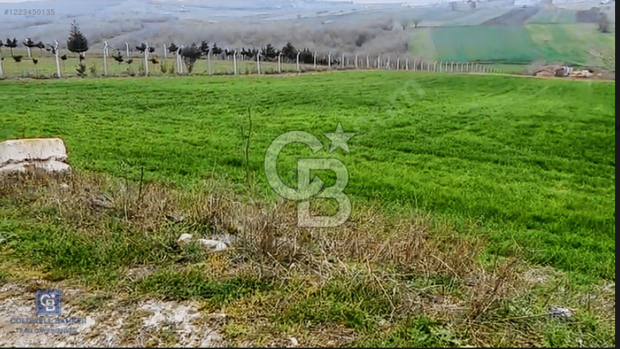SATILIK TEK TAPU 5020 M2 KADASTRO YOLU OLAN TARLA TAKASA UYGUN