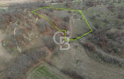 Dursunbey OSB'ye 10 dk mesafede Göbül köydibi çiftlik arazisi