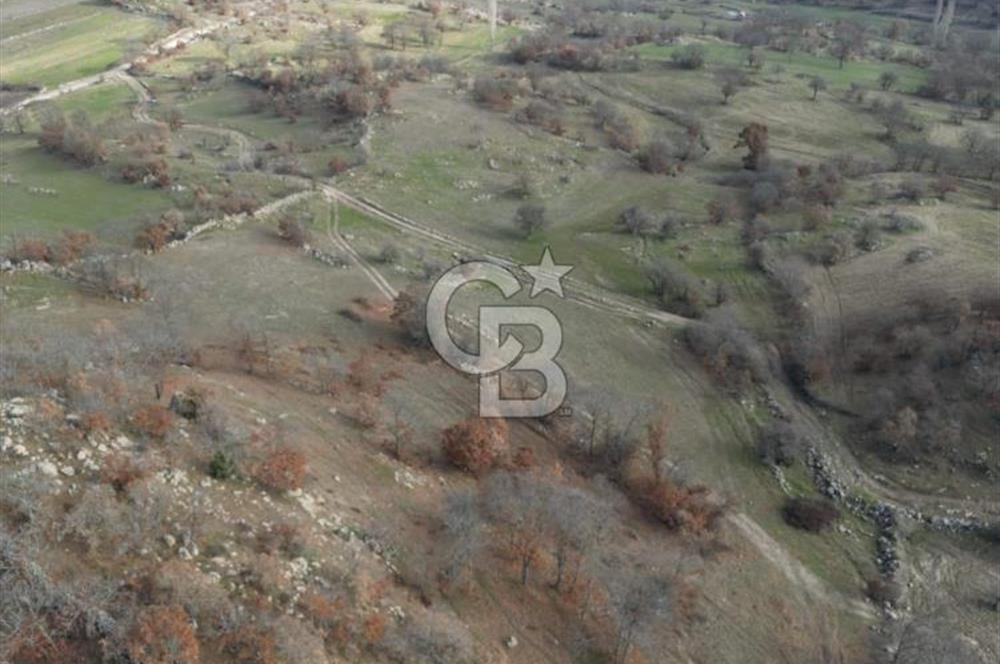 Dursunbey OSB'ye 10 dk mesafede Göbül köydibi çiftlik arazisi
