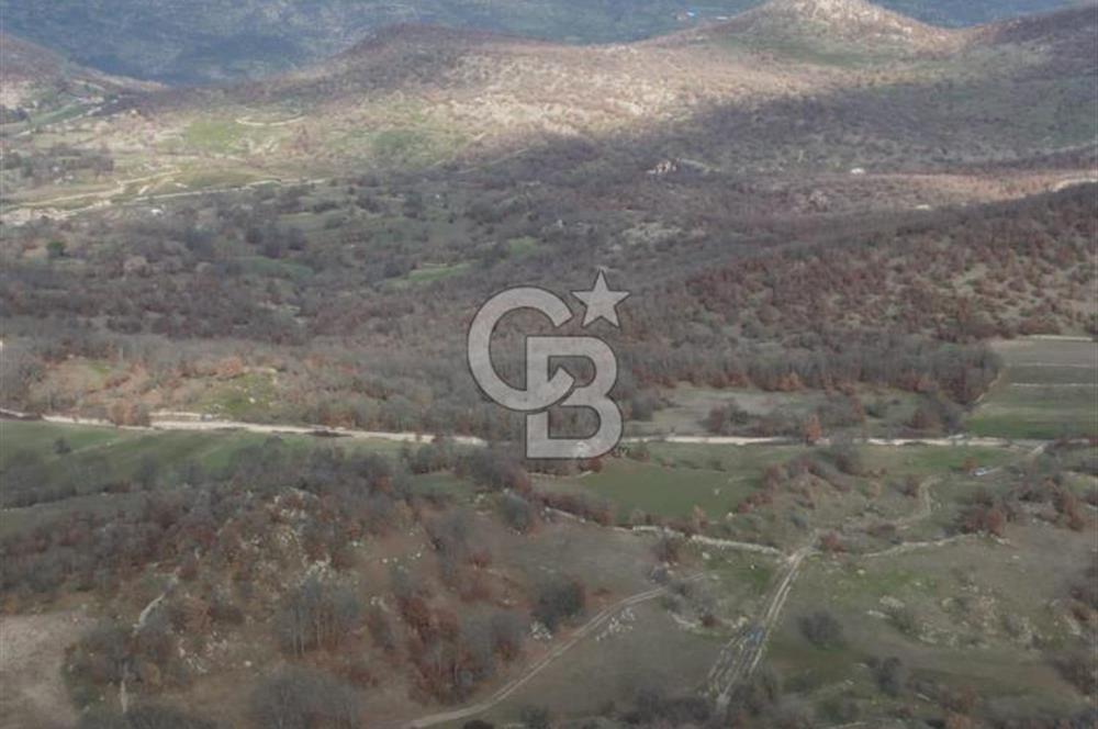 Dursunbey OSB'ye 10 dk mesafede Göbül köydibi çiftlik arazisi