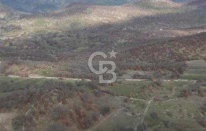 Dursunbey OSB'ye 10 dk mesafede Göbül köydibi çiftlik arazisi