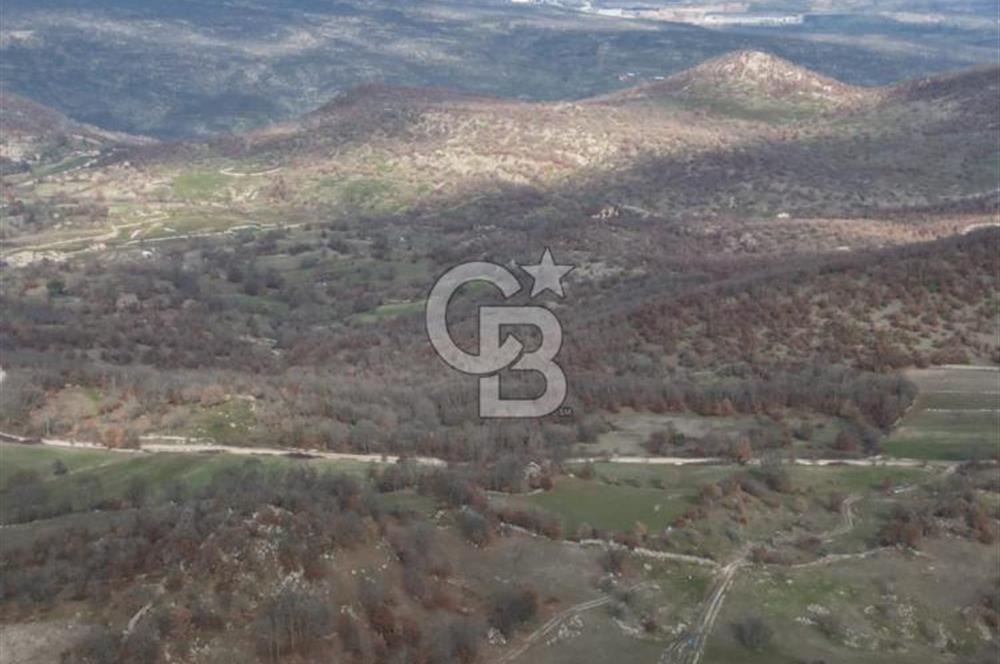 Dursunbey OSB'ye 10 dk mesafede Göbül köydibi çiftlik arazisi