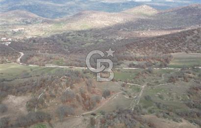 Dursunbey OSB'ye 10 dk mesafede Göbül köydibi çiftlik arazisi