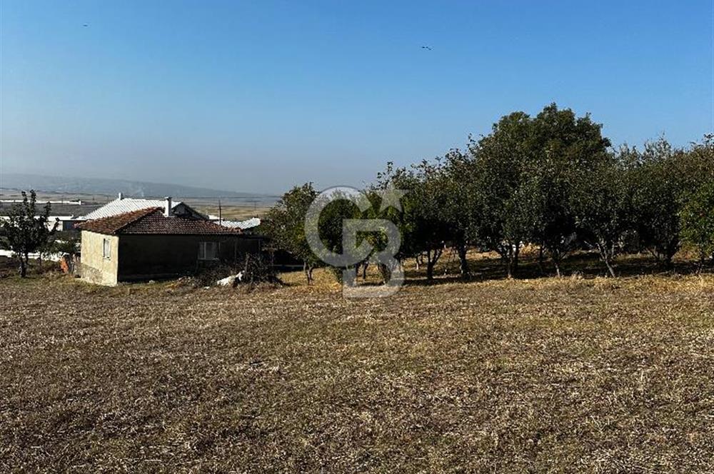 Çanakkale Biga Kanibey’de 982m2 Müstakil Tapulu Satılık Arsa