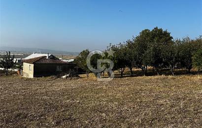 Çanakkale Biga Kanibey’de 982m2 Müstakil Tapulu Satılık Arsa