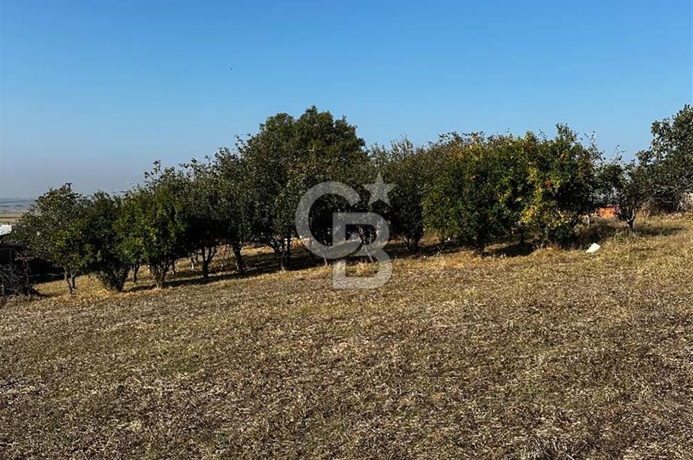Çanakkale Biga Kanibey’de 982m2 Müstakil Tapulu Satılık Arsa