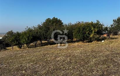 Çanakkale Biga Kanibey’de 982m2 Müstakil Tapulu Satılık Arsa