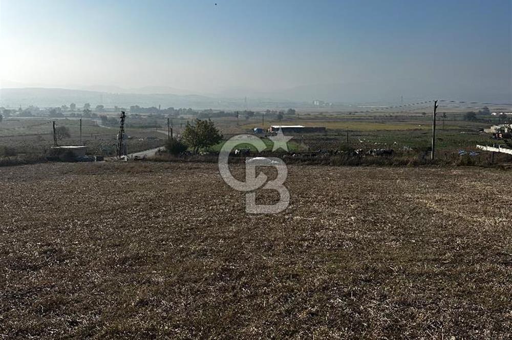 Çanakkale Biga Kanibey’de 982m2 Müstakil Tapulu Satılık Arsa